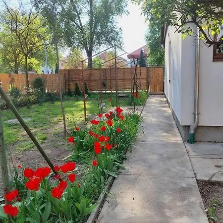 Ujszeged Lägenhet