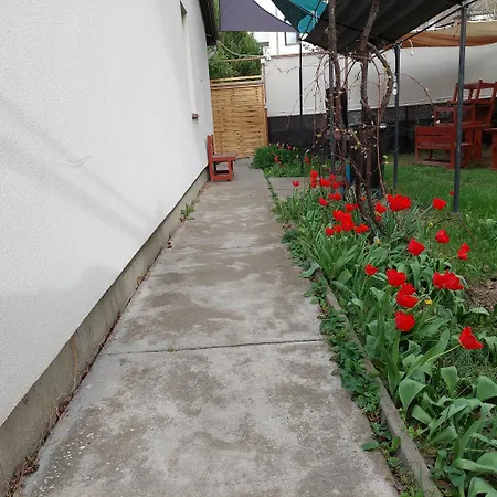 Ujszeged * Seghedin